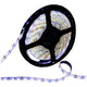 LED-nauha 5m, 9.6 W/m, 6000K, IP20, 12V, SMD2835