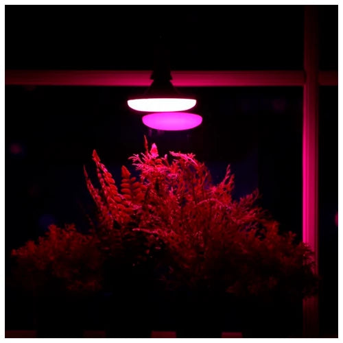 LED Fito lamppu UFO kasveille 15W