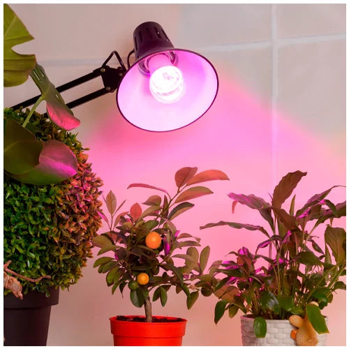 LED Fito lamppu kasveille 18W
